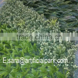 Plastic Garden Walls,vertical Green Wall thumbnail-4
