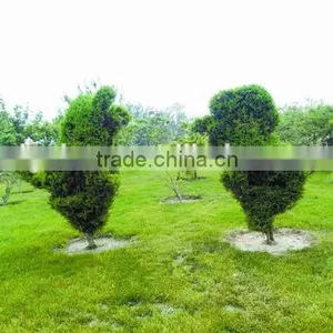 Factory Price High Quality Artificial Green Sculpture for Decoration thumbnail-3