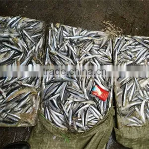 Good Quality Frozen Whole Anchovy thumbnail-3