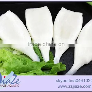 Frozen Squid Tube Illex Squid thumbnail-3