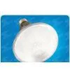 Sell LED Bulbs thumbnail-1