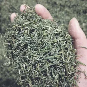China's Advanced Green Tea Enshi Selenium Rich Longjing Tea Healthy Weight Loss TeaSelenium-rich Longjing TeaEnshi Longjing TeaSelenium Tea thumbnail-2