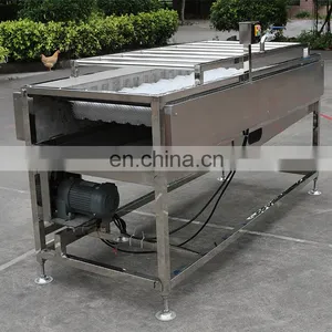 Automatic Lemon Plum Cherry Blue Berry Fruit Washer Brush Rollers Baby Carrot Potato Turnip Vegetable Washing Machine on Sale thumbnail-5
