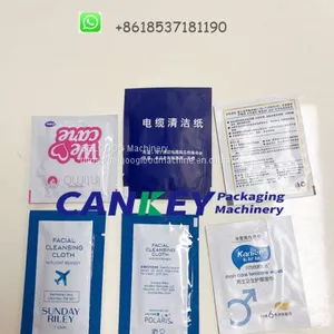 Single Sachet Wet Wipes Packaging Machine Supplier thumbnail-3