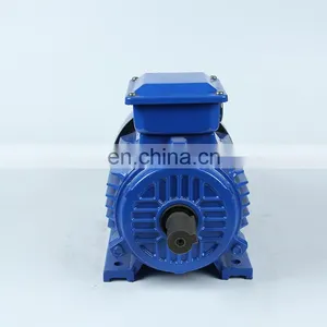 7.5 kw 10 hp 3 Phase Electric Motor With Aluminium Housing thumbnail-2