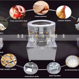 Poultry Hair Removal Machine / Plucking Machine / Bird/quail/chicken/ Sparrow Feather Plucker thumbnail-7