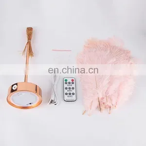 Modern Design Contemporary Contracted Nordic Creative Romantic LED Ostrich Feather Table Lamp Decor With Remote Control thumbnail-6