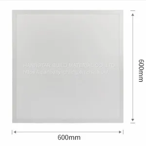Surface Mounted Panel Light Panel Lighting 2835SMD 600*600mm Led Panel Light thumbnail-1