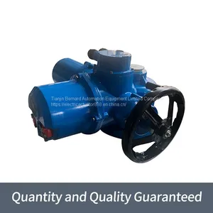 Bernard Outdoor Aluminum Alloy Integrated DZW-250 Multi-turn Electric Actuator thumbnail-3