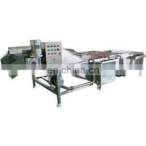 Vegetable Mango Dates Bubble Washing Machine Fruit And Vegetable Cleaning Machine for Sale thumbnail-3