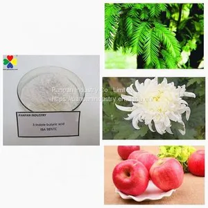 Plant Growth Regulator Indole-3-butyric Acid ( IBA ) 98%TC Powder thumbnail-2