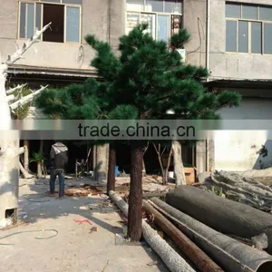 Fiberglass Material Artificial Trees Artificial Outdoor/indoor Artificial Pine Tree thumbnail-1