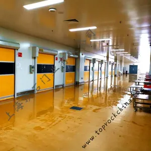 Professional Manufacturer of Indoor Rapid Doors and Pvc Rapid Doors - Dingshi Door Industry. Offering One-stop Service and Direct Sales Nationwide. thumbnail-2