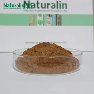 Ginkgo Biloba Extract thumbnail-2