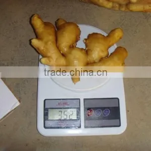 2015 Good Price of the Ginger From Shandong thumbnail-2