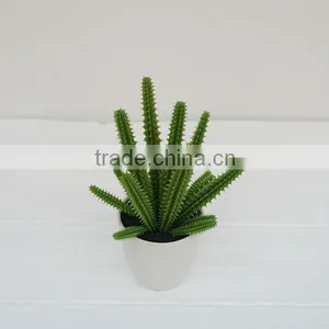 High Quality Artificial Plant Succulent Plant Tropical Plant thumbnail-1