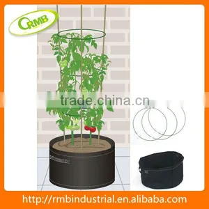Tomato Planter in the Garden(RMB) thumbnail-1