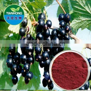 Black Currant Extract Anthocyanin thumbnail-1