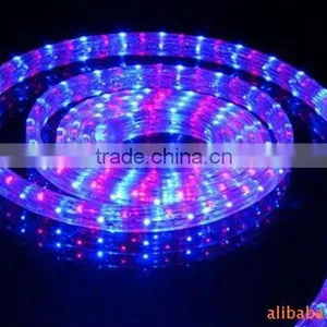Led Flex Rope Light Bulk Christmas Lights 24v 1/2" White LED Rope Lights 2 Wire for Sale thumbnail-1