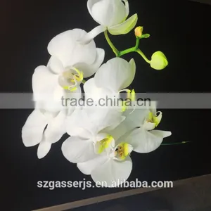 Custom Banner Good Quality Backlit Pet Film Cosmetic Banner thumbnail-5