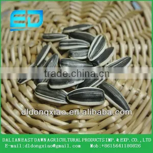 2015 New Crop Chinese Sunflower Seeds for High Quality thumbnail-3