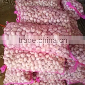 Fresh Garlic / Garlic Factory in China thumbnail-1