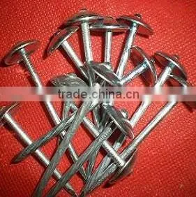 Fast Sell Good Quanlity Umbrella Head Twisted Nails thumbnail-4