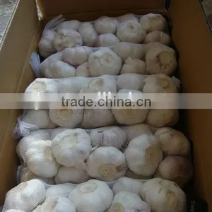 Chinese New Garlice Price thumbnail-3