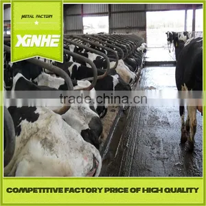 New Design Cattle Cow Free Stall Cattle Cubicles thumbnail-1