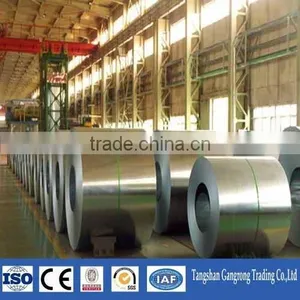 Prepainted Galvanized Steel Sheet in Coil thumbnail-2