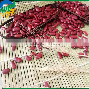 New Crop Dark Red Kidney Beans thumbnail-3