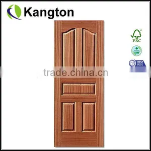Wood Veneered Molded Door Skin thumbnail-1