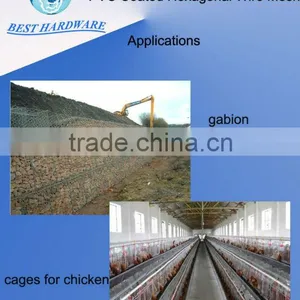 Electro Galvanized Hexagonal Wire Mesh 10mm for Poultry Feeding thumbnail-2