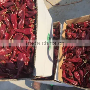 DryRed Chili thumbnail-4