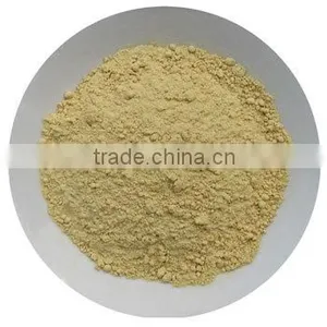 SPRAY DRIED GINGER POWDER thumbnail-1