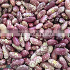 Red Speckled Kidney Beans thumbnail-1