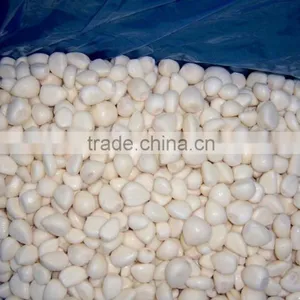 Factory of Frozen Peeled Garlic thumbnail-3