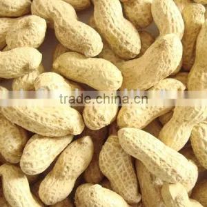 Peanut thumbnail-1