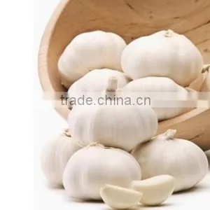 Common Cultivation Liliaceous Vegetables Garlic Fresh thumbnail-3