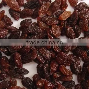 Raisin thumbnail-1