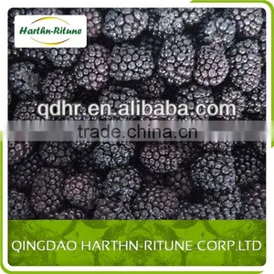 Frozen Blackberry Wholesale thumbnail-4