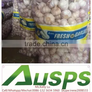 China Fresh Pure White Garlic Price thumbnail-5