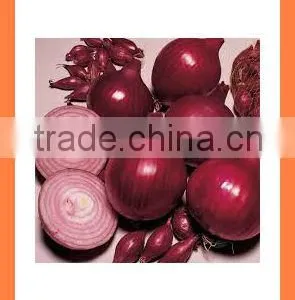 Fresh New Crop Red Onion From China thumbnail-5
