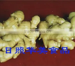 Fresh Ginger in China thumbnail-2