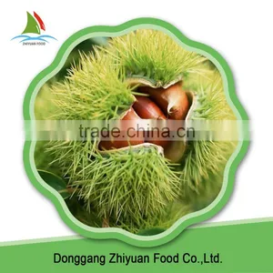China Excellent Oganic Peeled Raw IQF Frozen Chestnut thumbnail-5