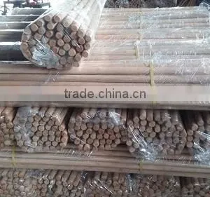 Dry Natural Broom Handle Wood Factory in Vietnam thumbnail-1