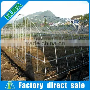 Agriculture Greenhouse With Sun Shading System for Mushroom thumbnail-2