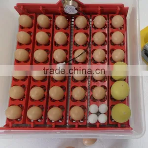 Chicken Hatchery Machine Price 36,48 Eggs thumbnail-5