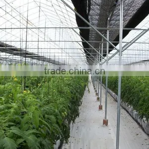 Commercial Greenhouse for Agriculture thumbnail-6