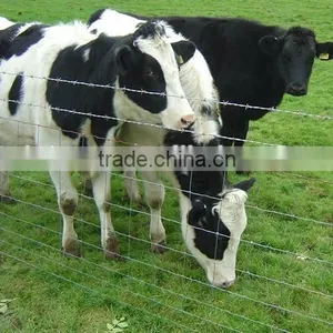 ISO9001 Professional Manufacturer High Zin Coated Galvanized Prairie Fence Net thumbnail-2